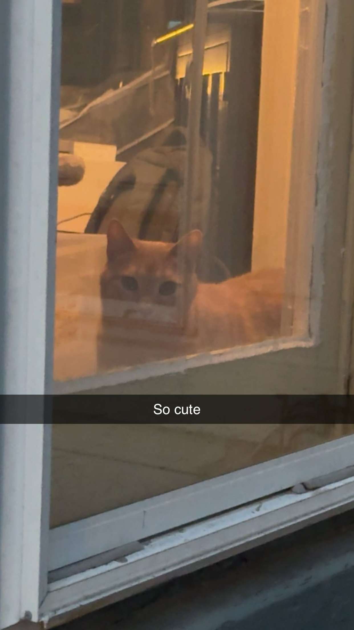 carmmieecat snapchat image archive image
