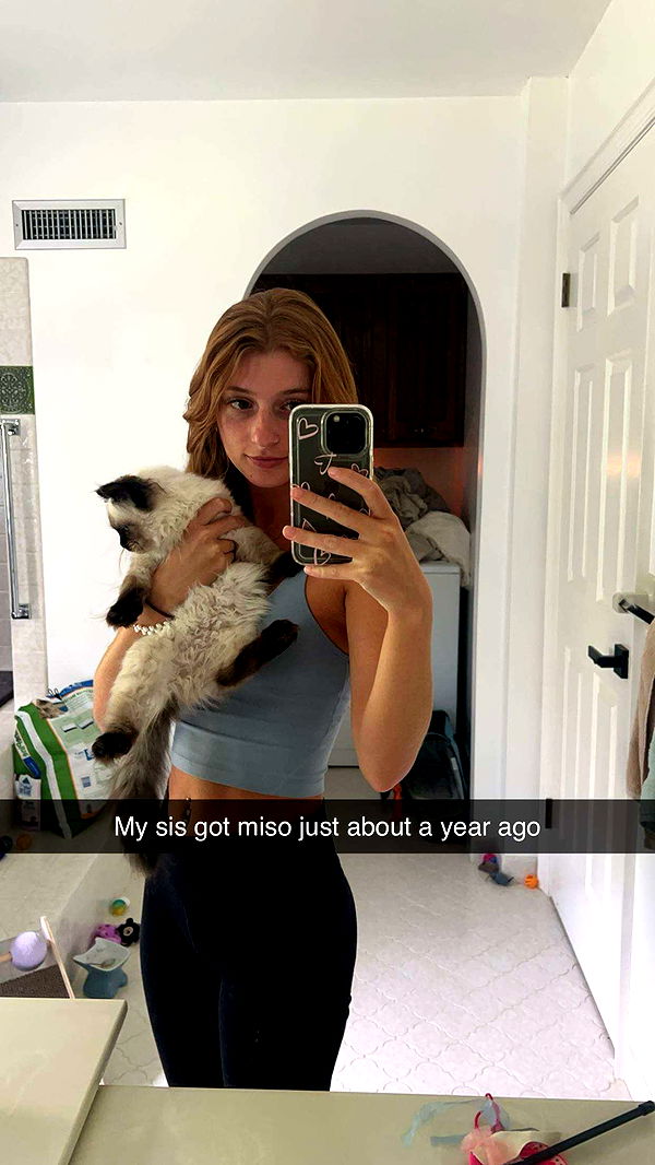 carmmieecat image ~ Altpins