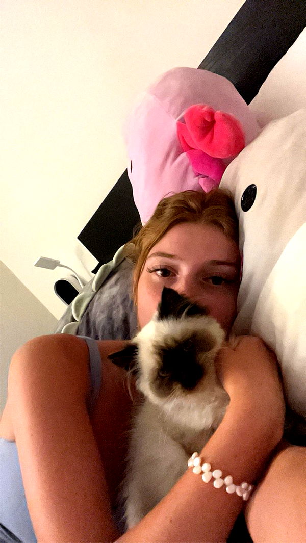 carmmieecat image ~ Altpins