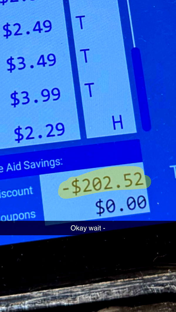 carmmieecat image ~ Altpins