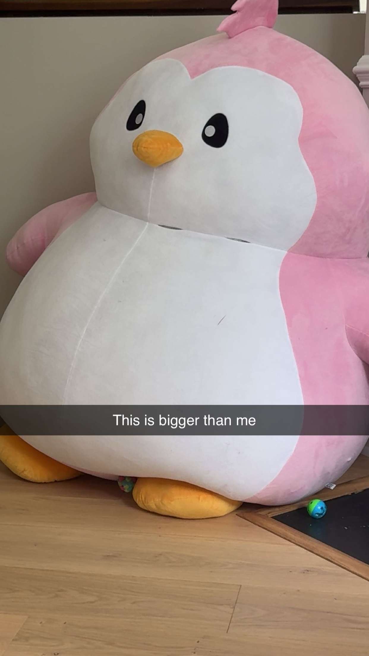 carmmieecat snapchat image archive image