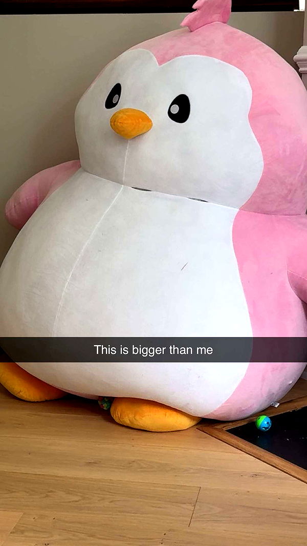 carmmieecat image ~ Altpins