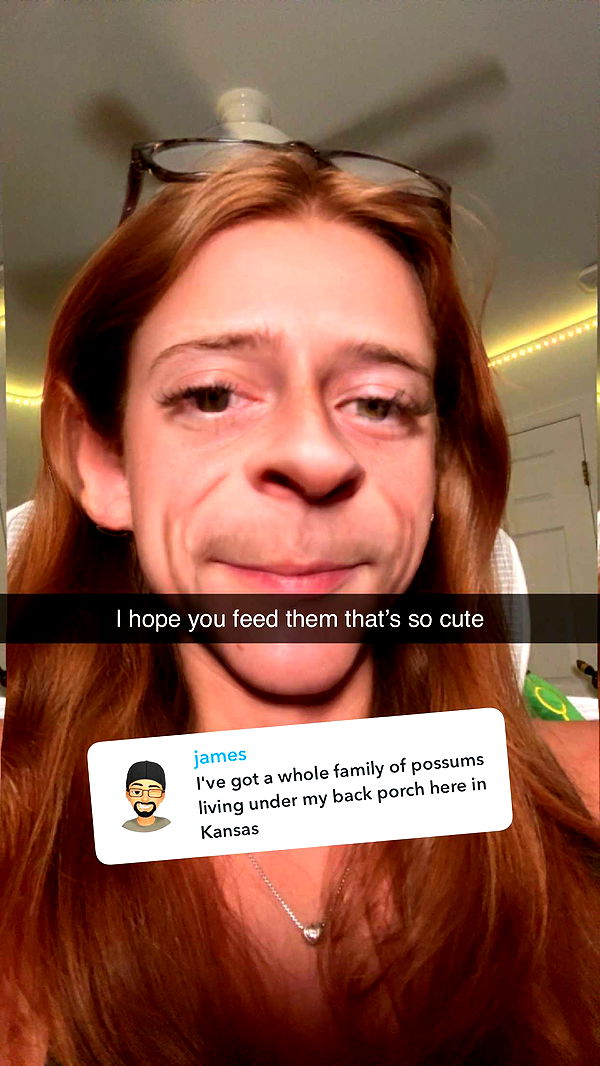 carmmieecat image ~ Altpins