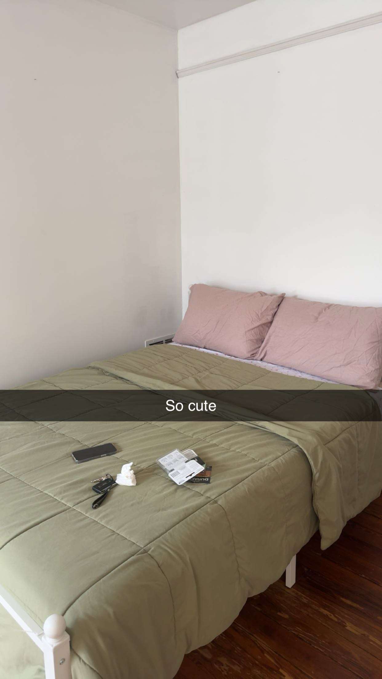 carmmieecat snapchat image archive image