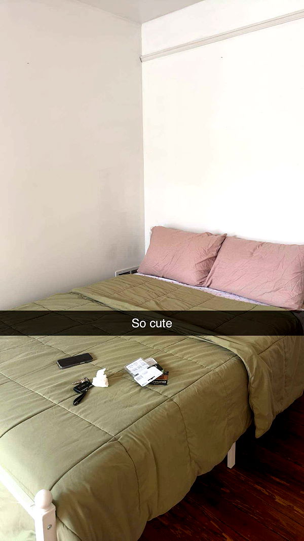 carmmieecat image ~ Altpins