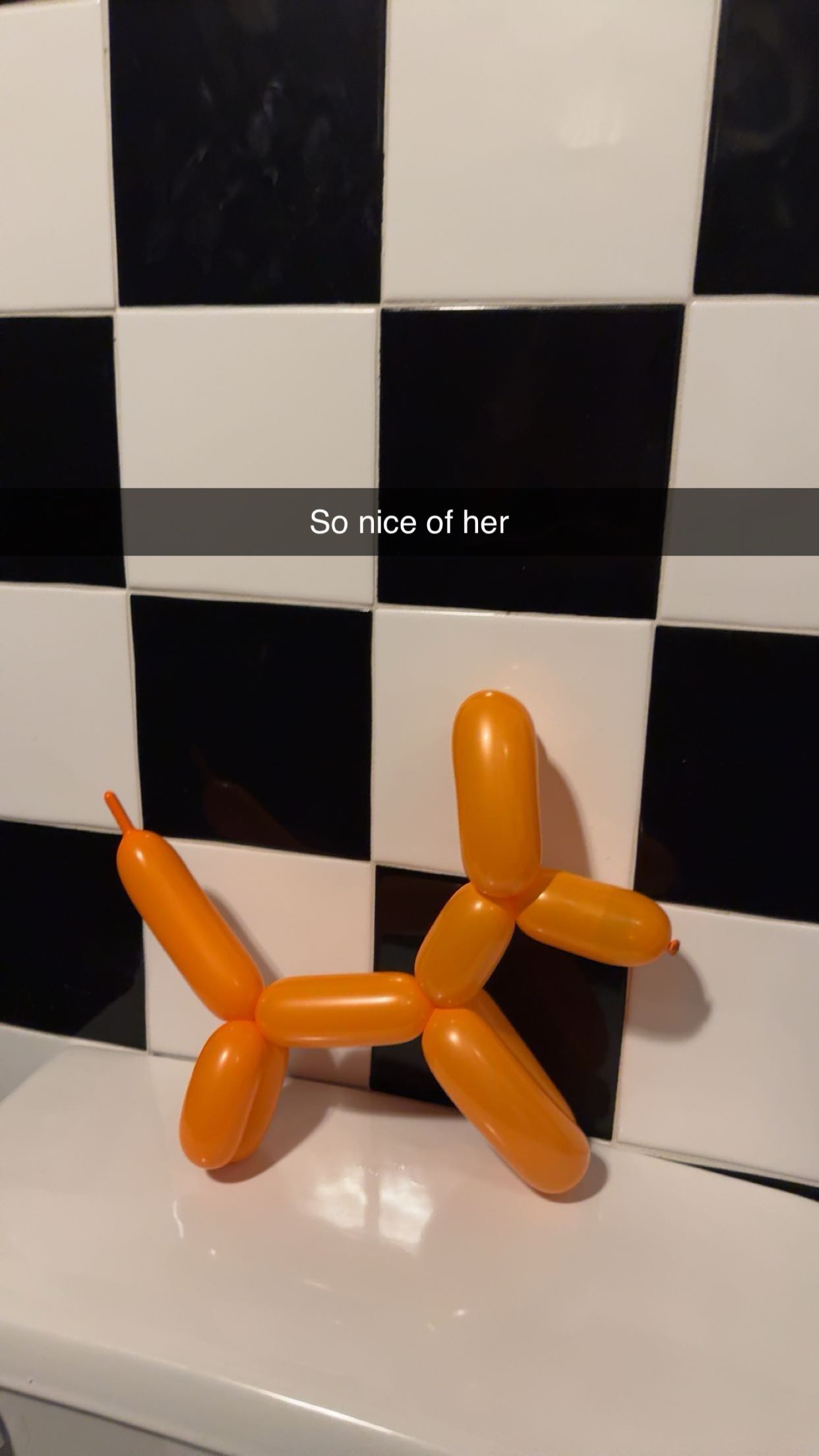 carmmieecat snapchat image archive image