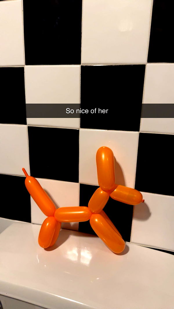 carmmieecat image ~ Altpins