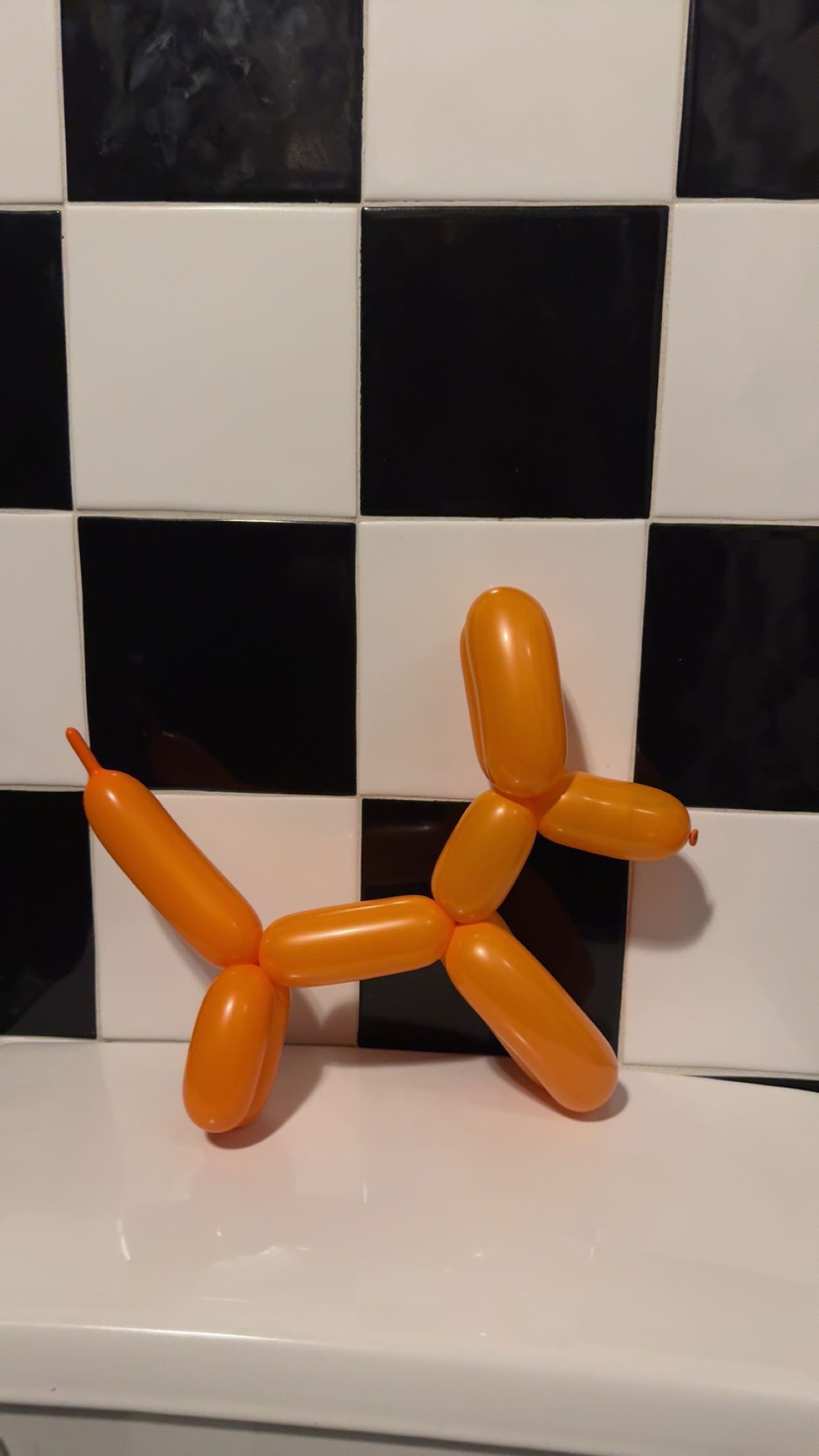 carmmieecat snapchat image archive image