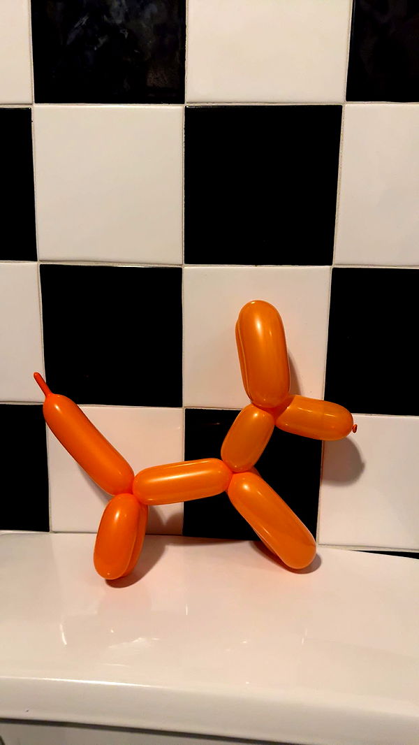 carmmieecat image ~ Altpins