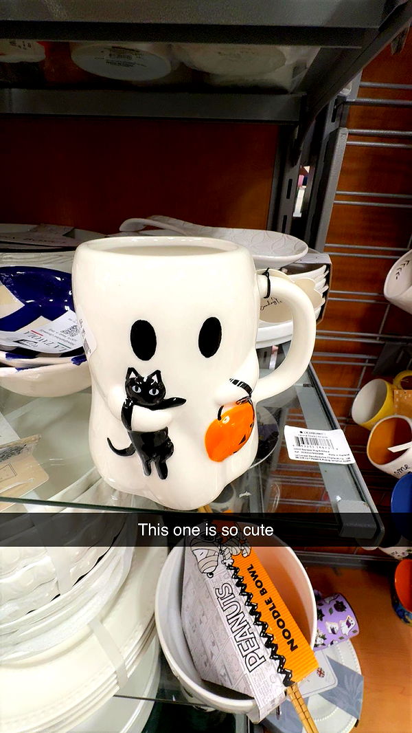 carmmieecat image ~ Altpins