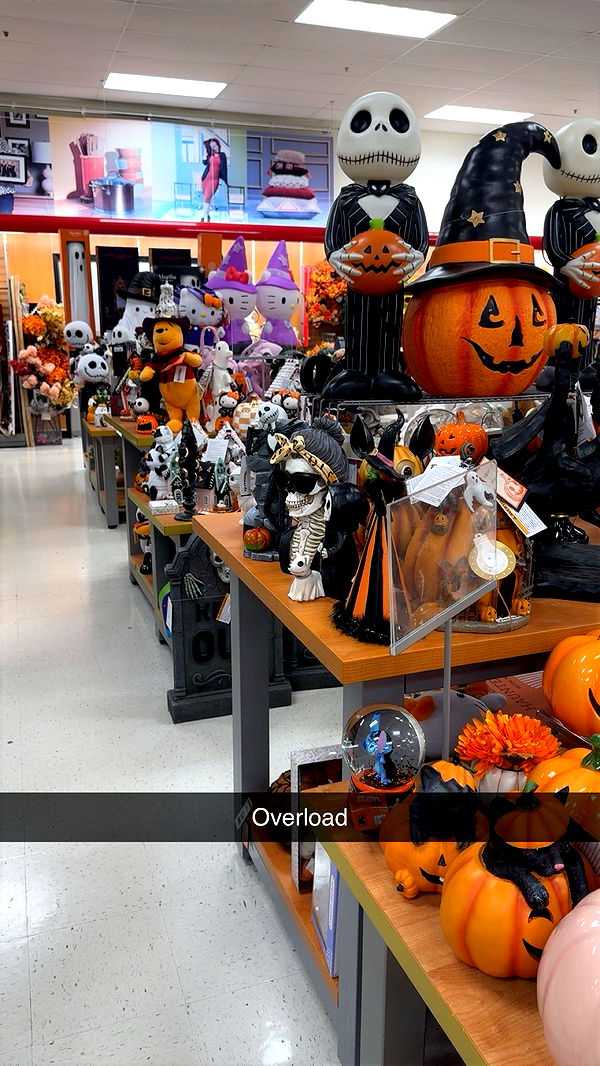 carmmieecat image ~ Altpins