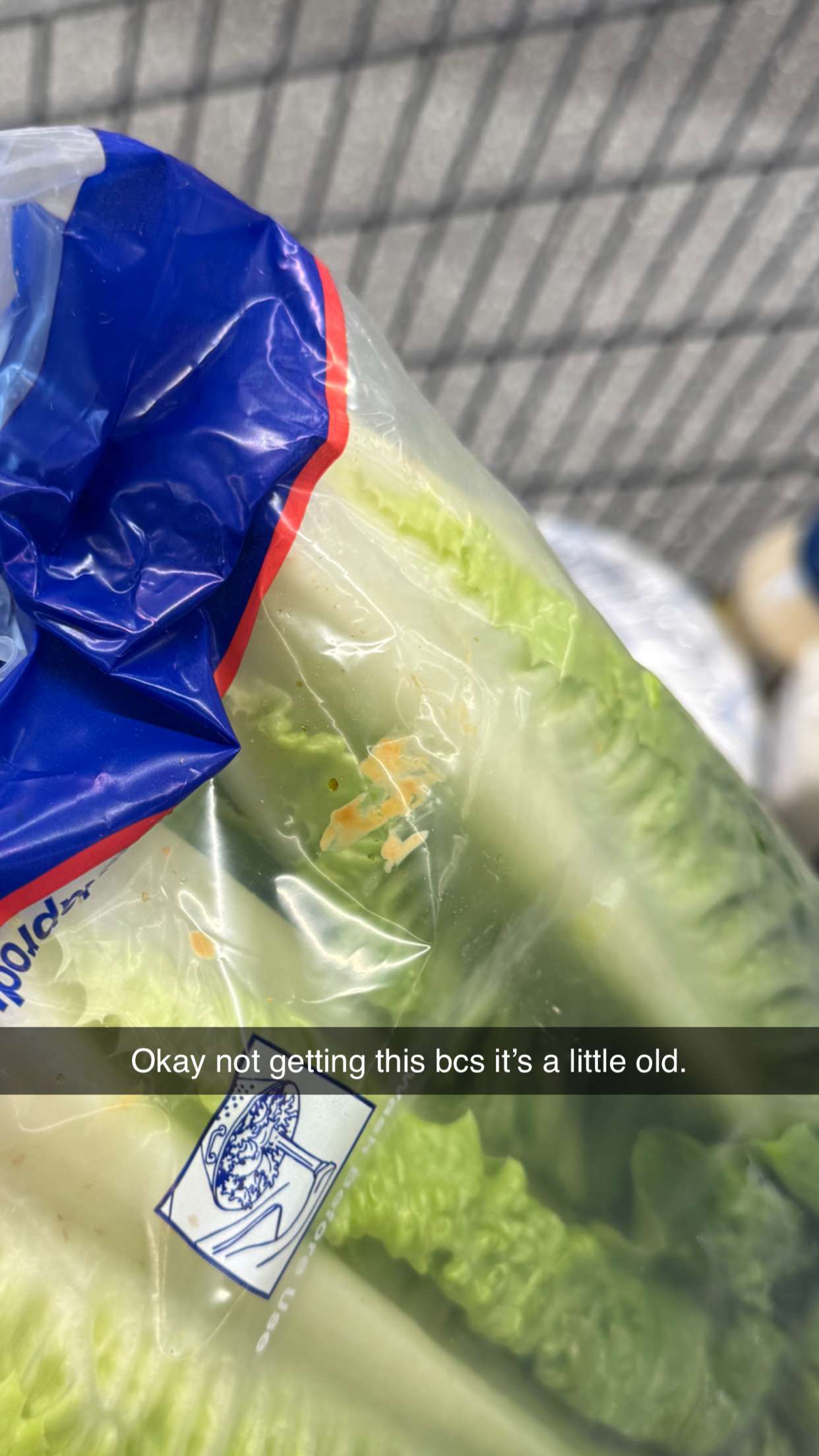 carmmieecat snapchat image archive image