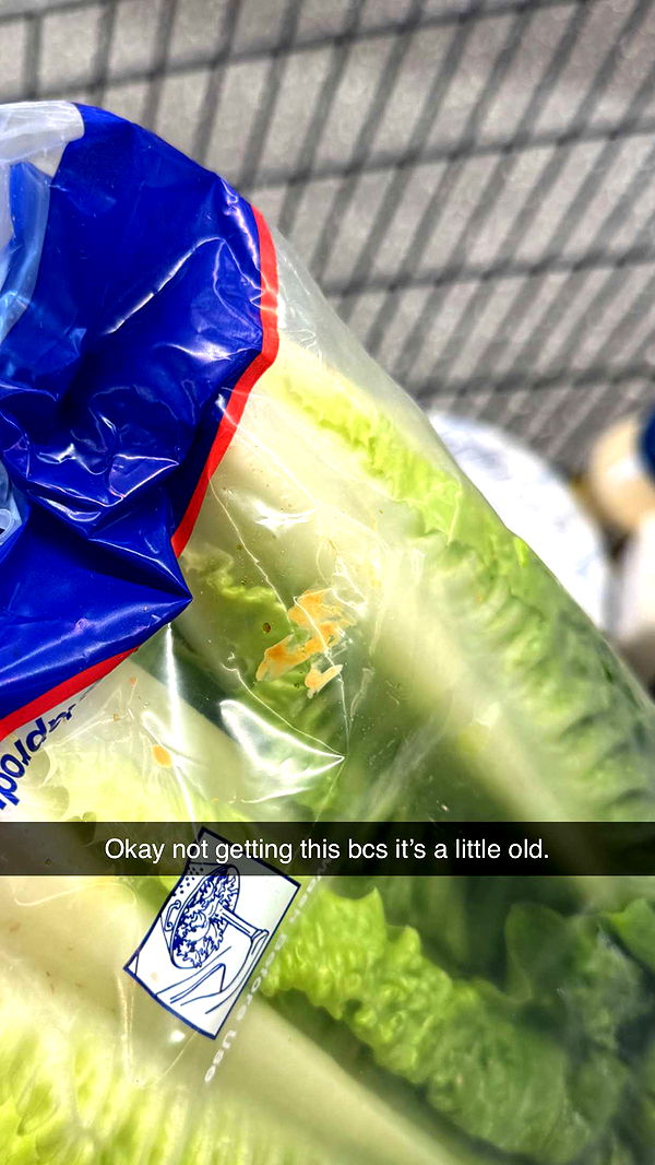 carmmieecat image ~ Altpins