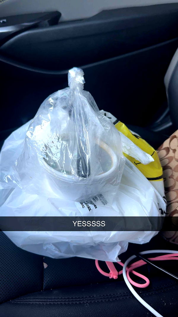 carmmieecat image ~ Altpins