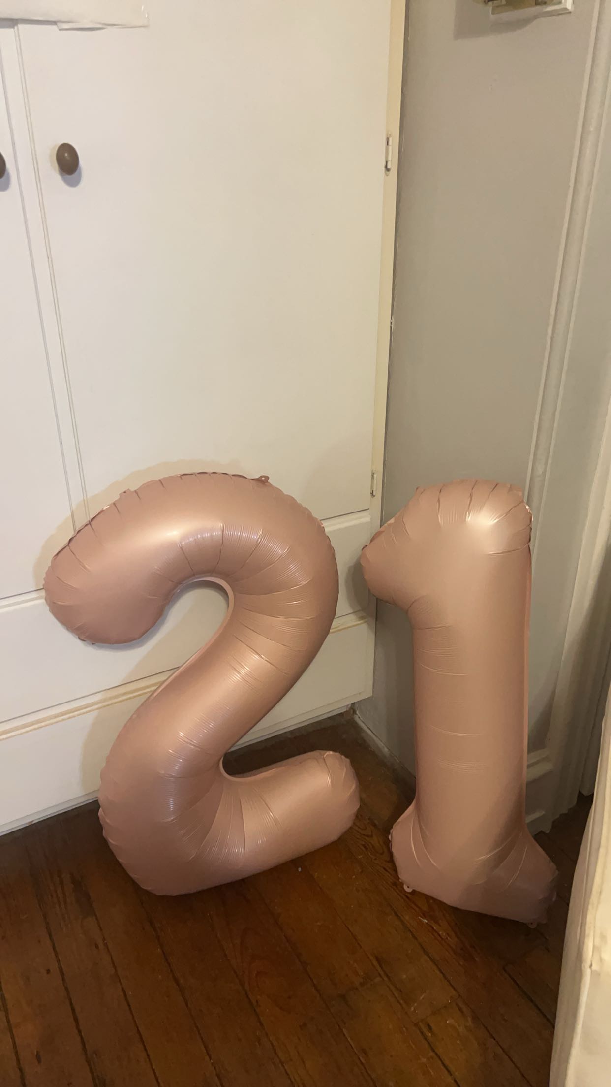 carmmieecat snapchat image archive image