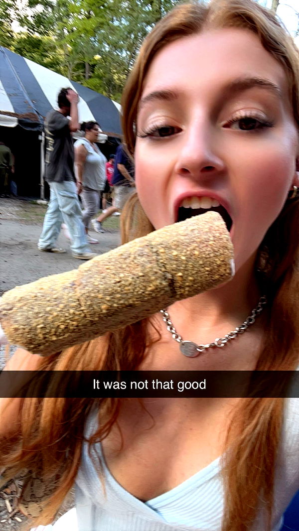 carmmieecat image ~ Altpins