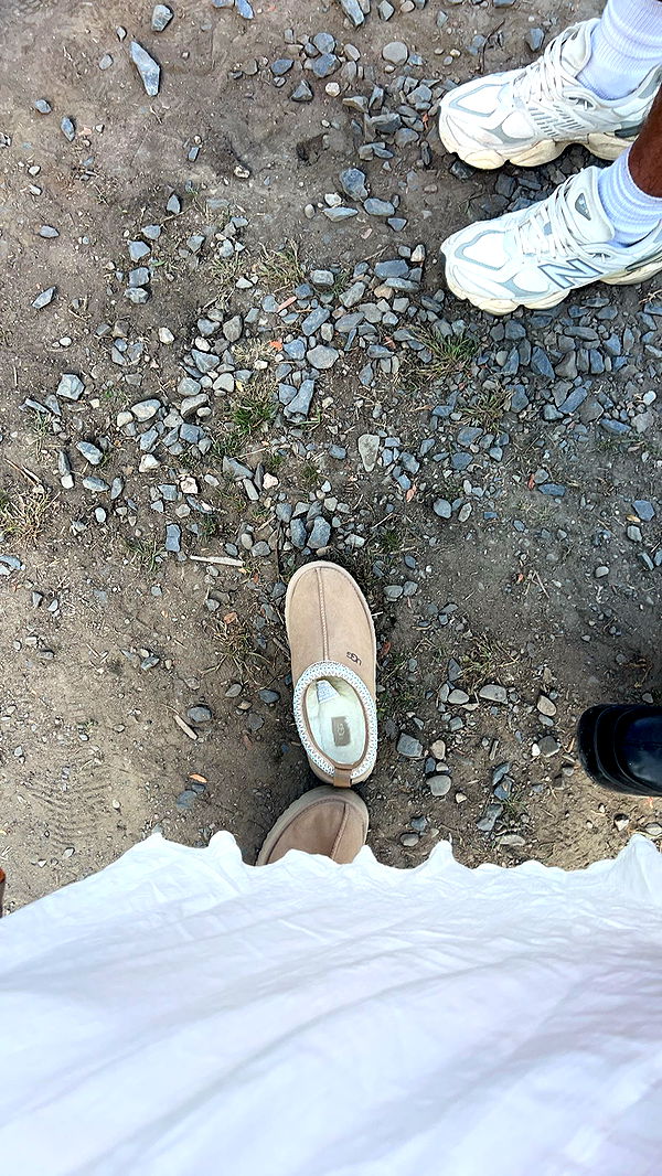 carmmieecat image ~ Altpins