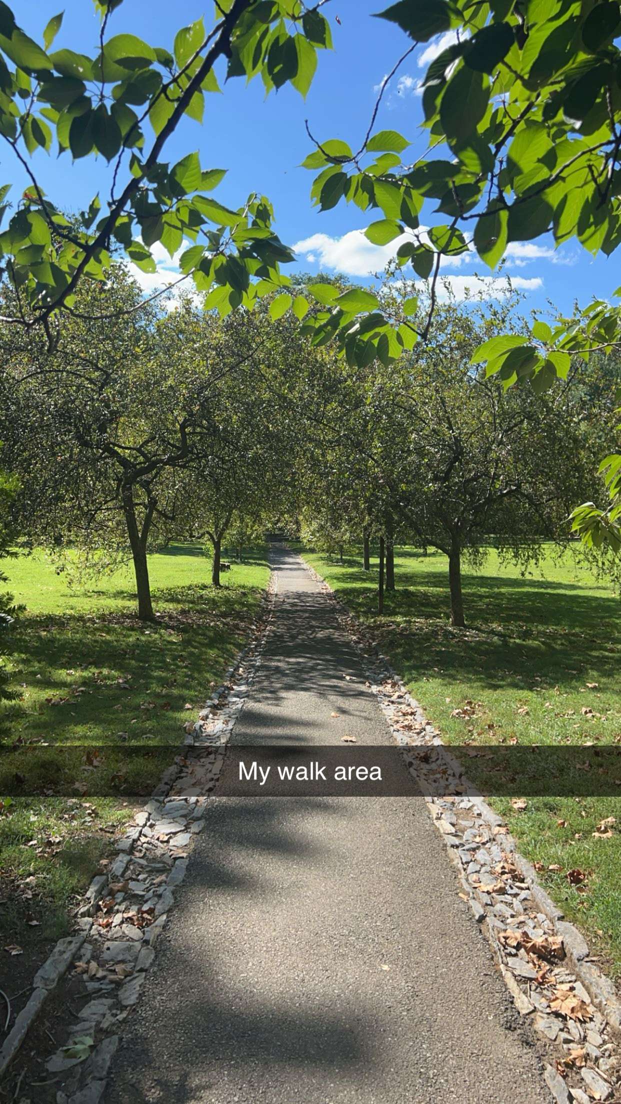 carmmieecat snapchat image archive image