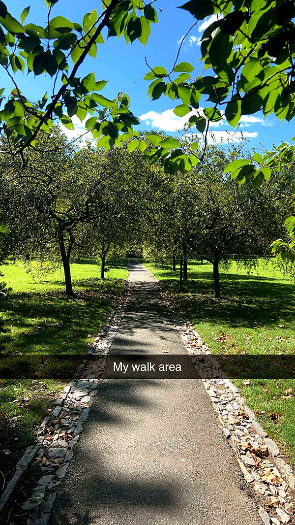 carmmieecat image ~ Altpins