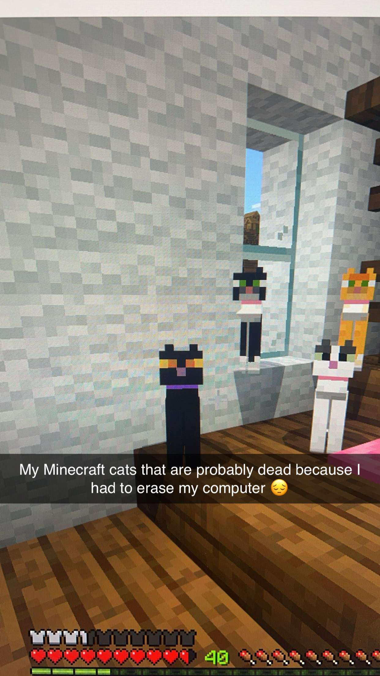 carmmieecat snapchat image archive image