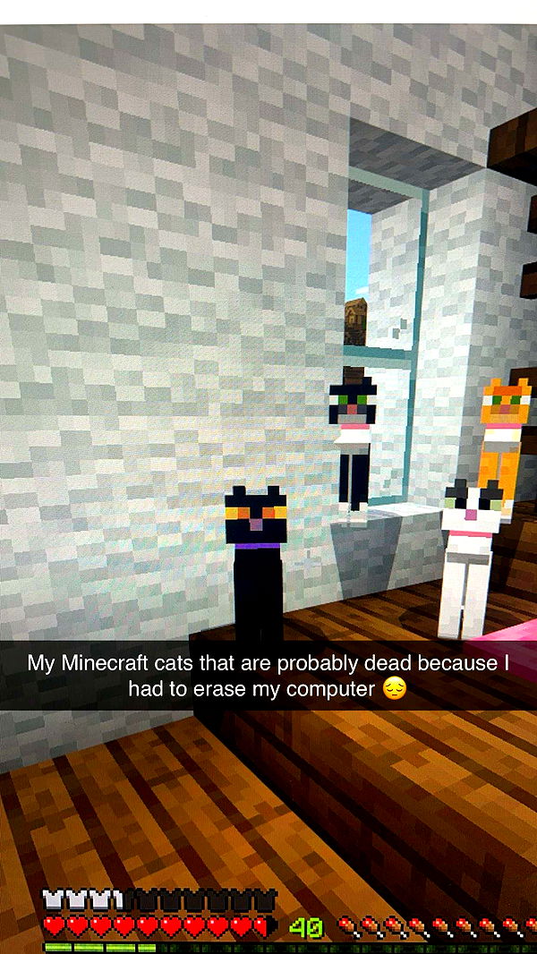 carmmieecat image ~ Altpins