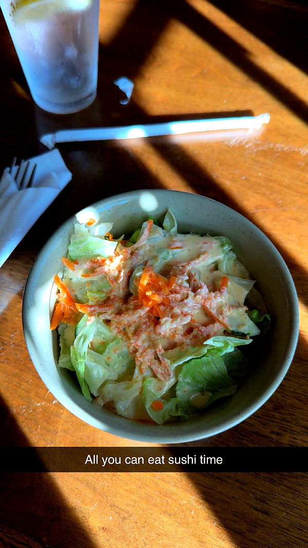 carmmieecat image ~ Altpins