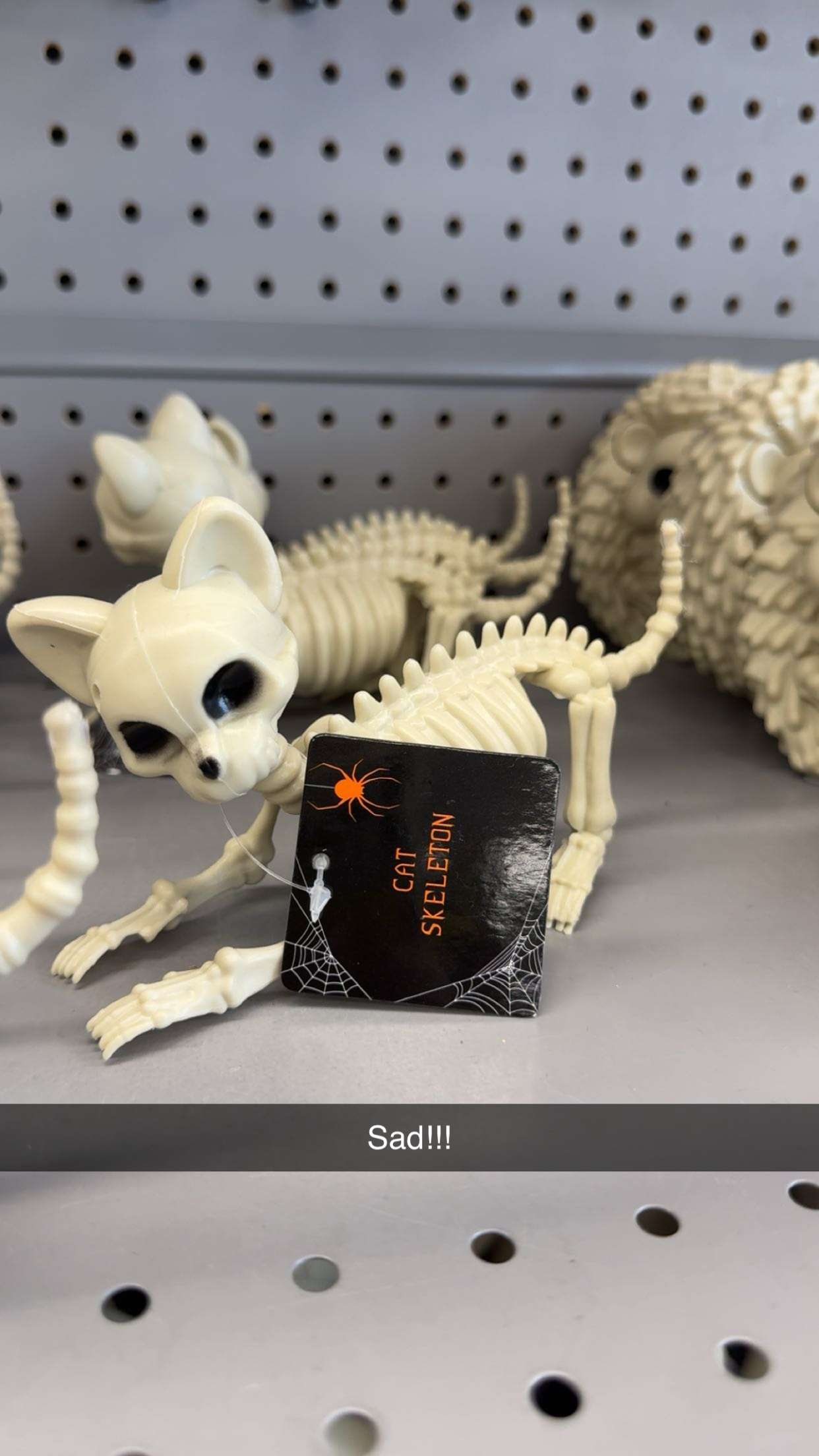 carmmieecat snapchat image archive image