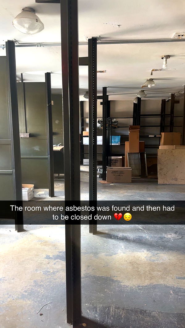 carmmieecat image ~ Altpins