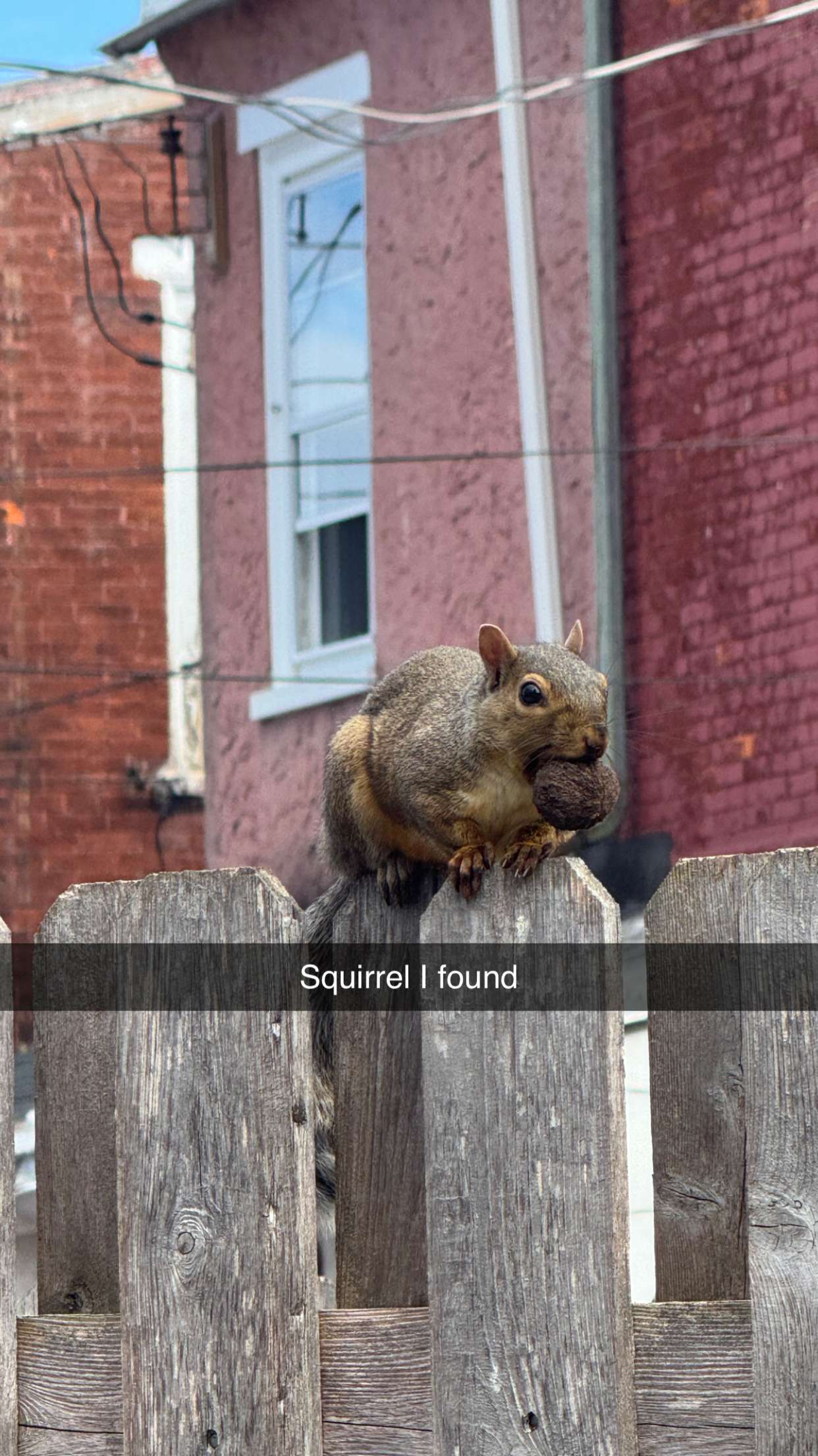 carmmieecat snapchat image archive image