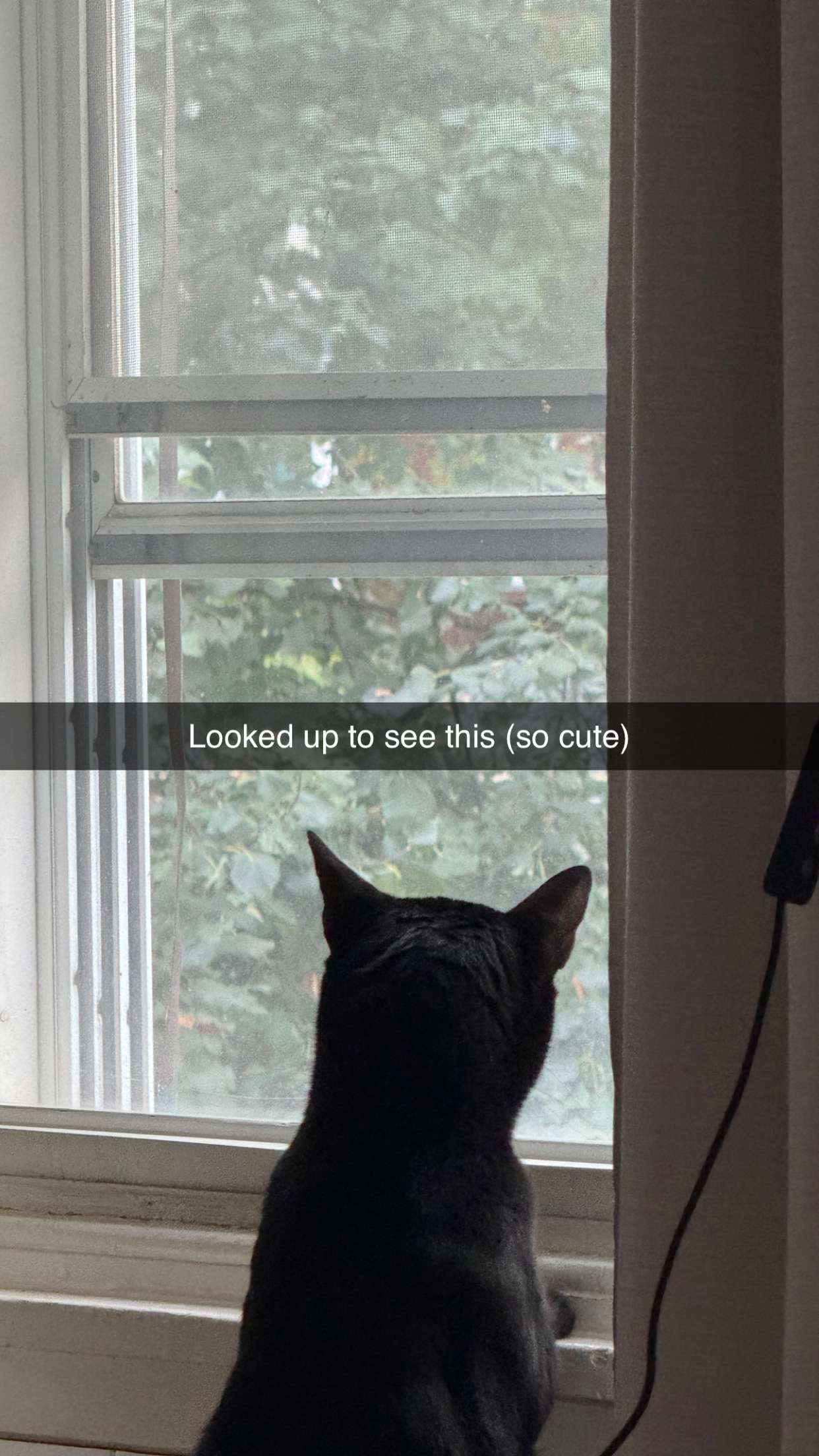 carmmieecat snapchat image archive image