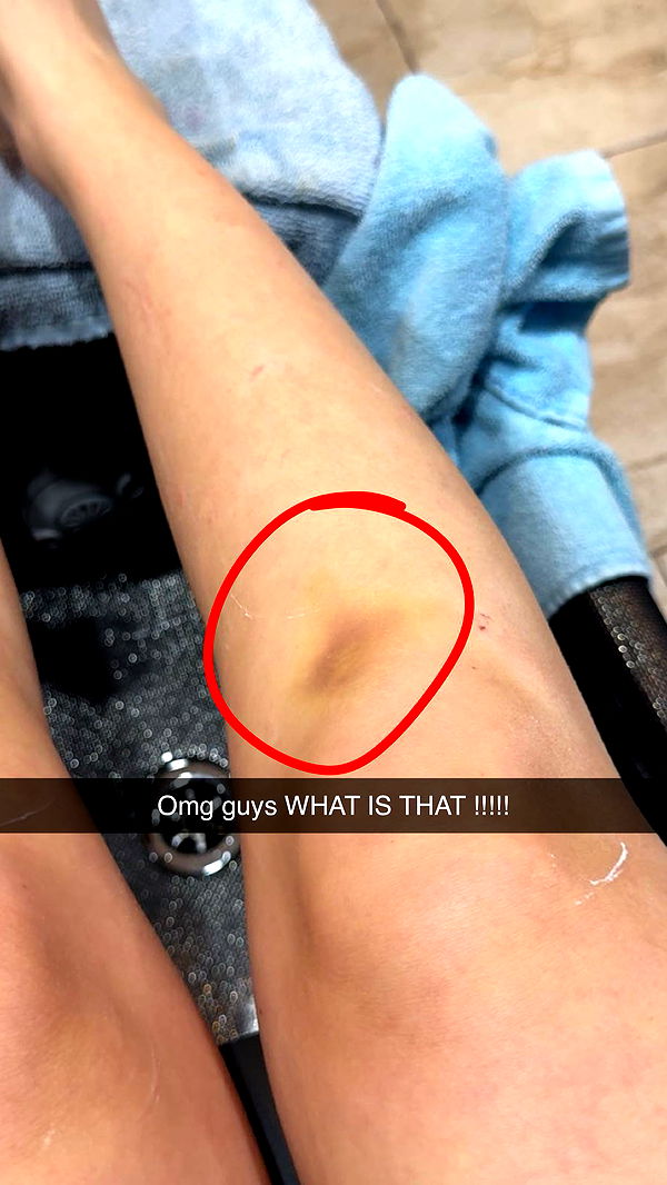 carmmieecat image ~ Altpins