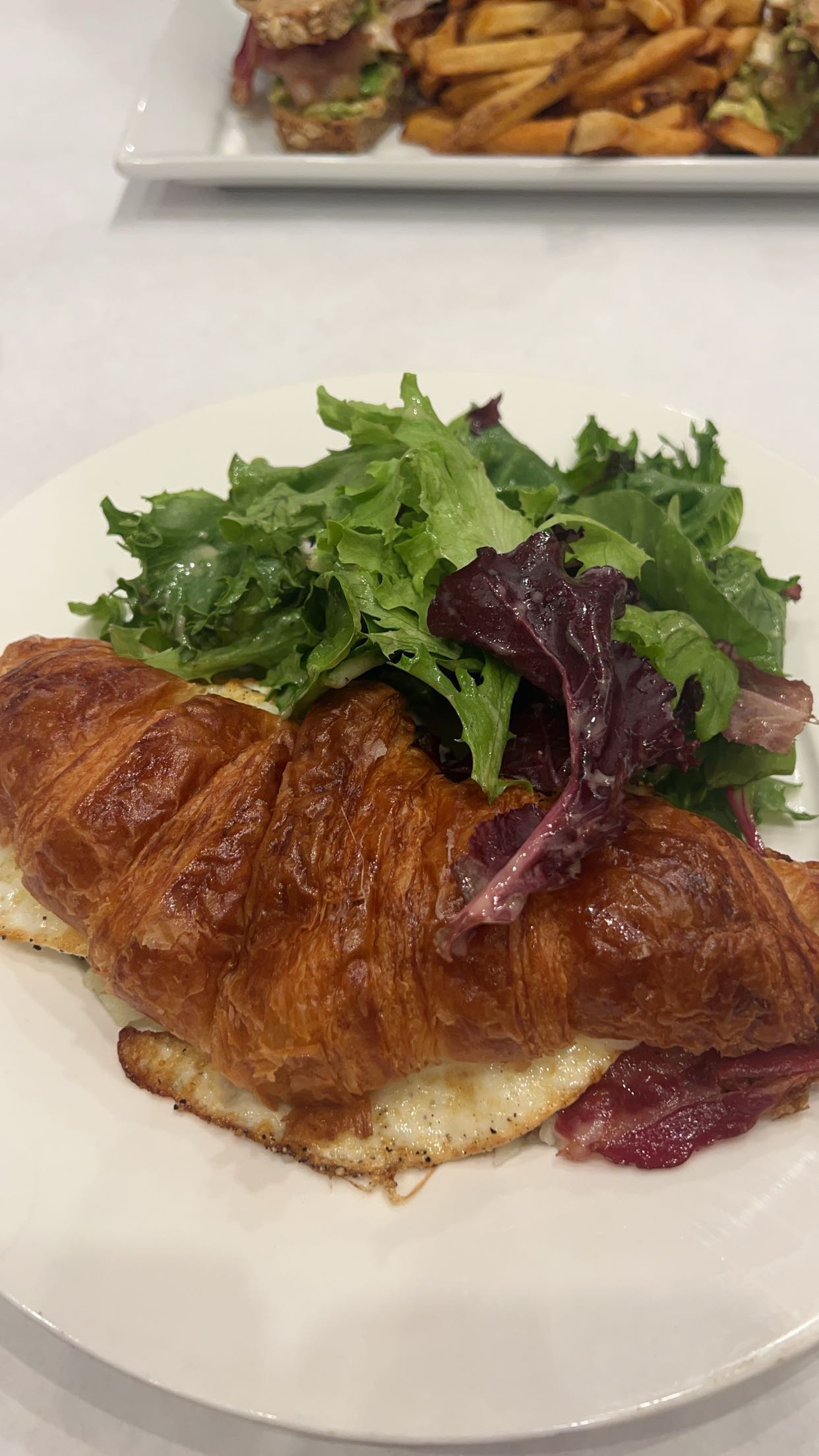 carmmieecat snapchat image archive image