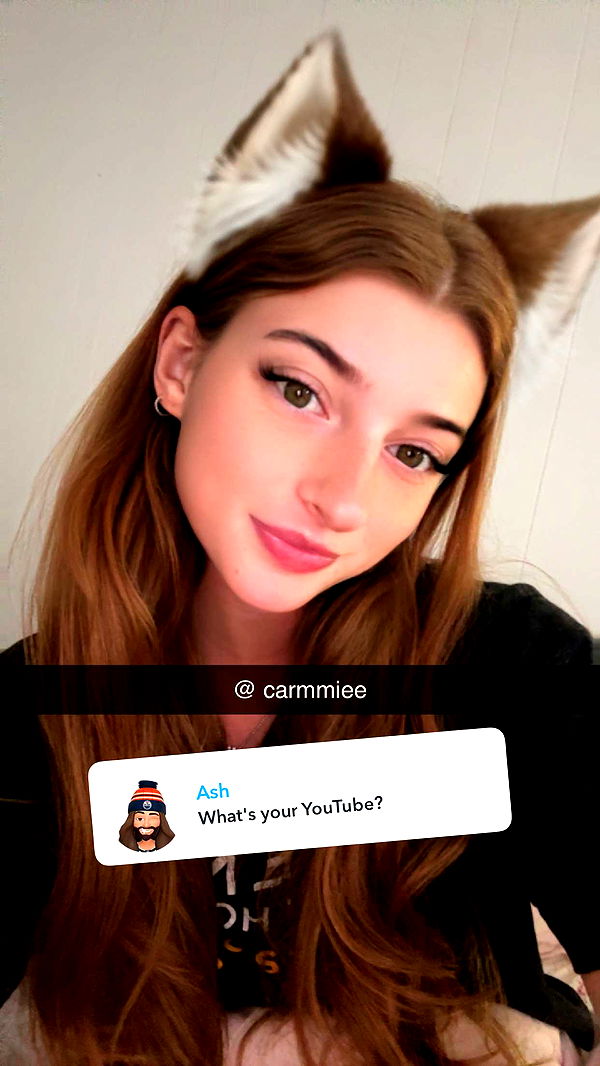 carmmieecat image ~ Altpins