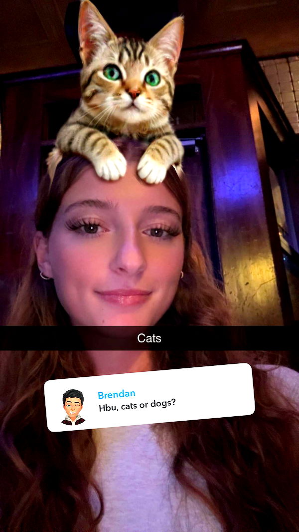 carmmieecat image ~ Altpins