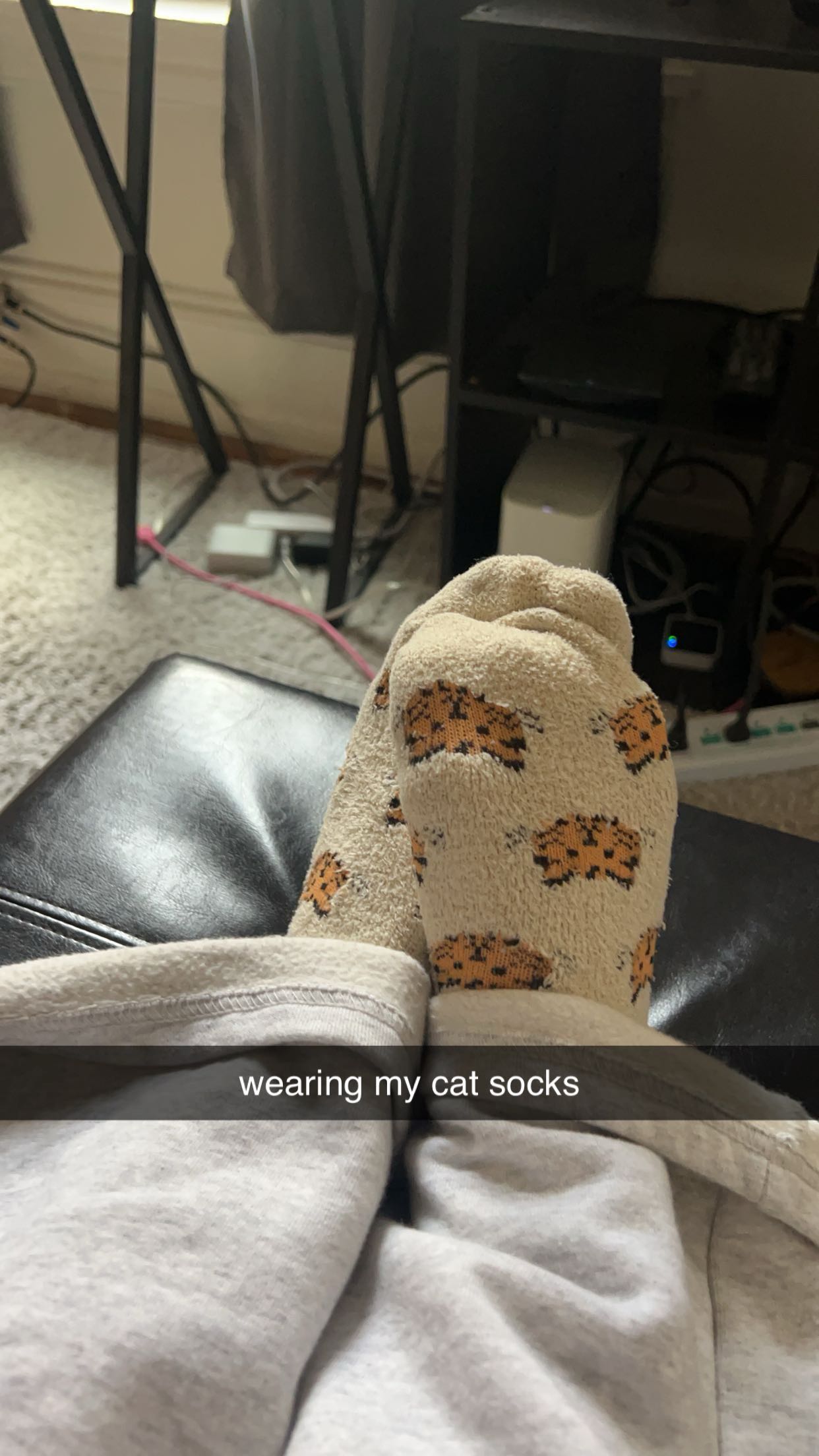 carmmieecat snapchat image archive image