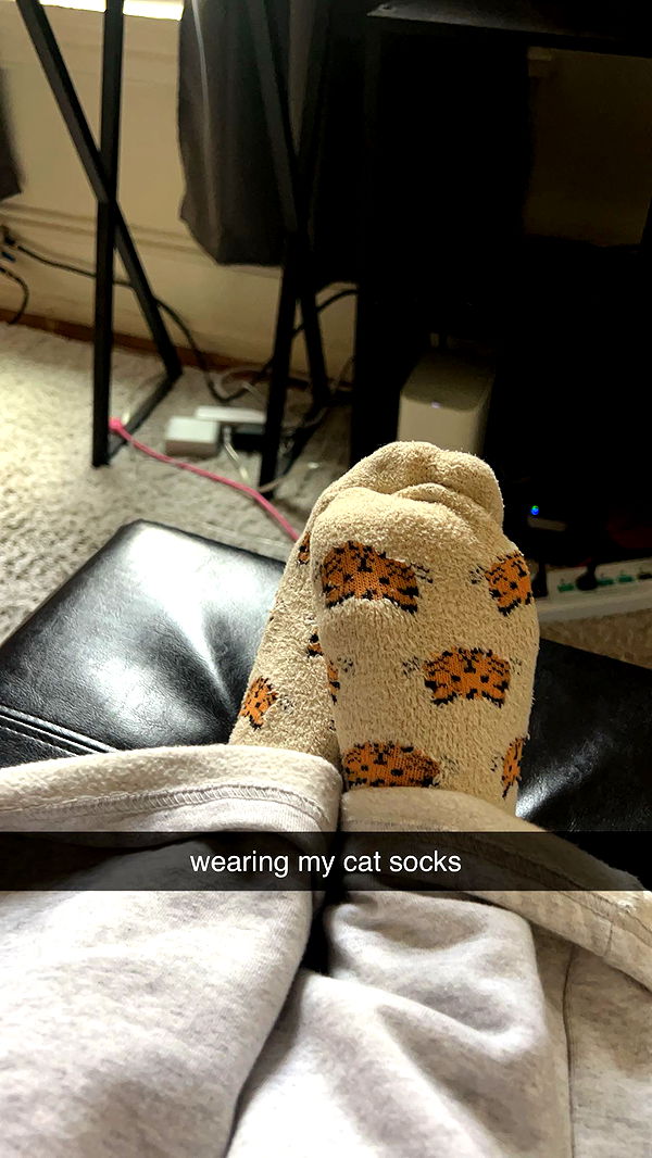 carmmieecat image ~ Altpins