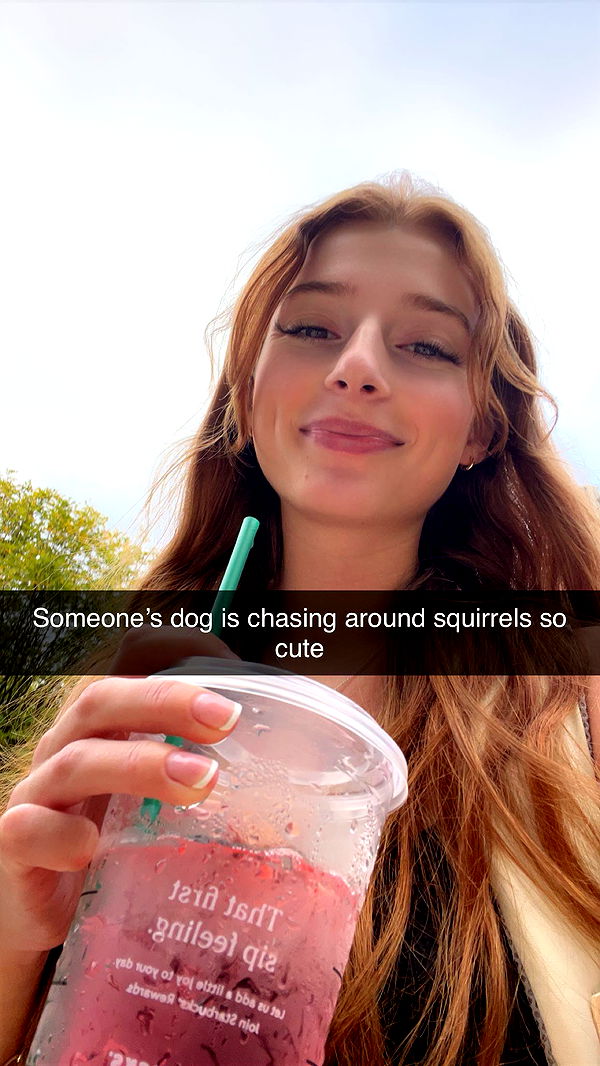 carmmieecat image ~ Altpins