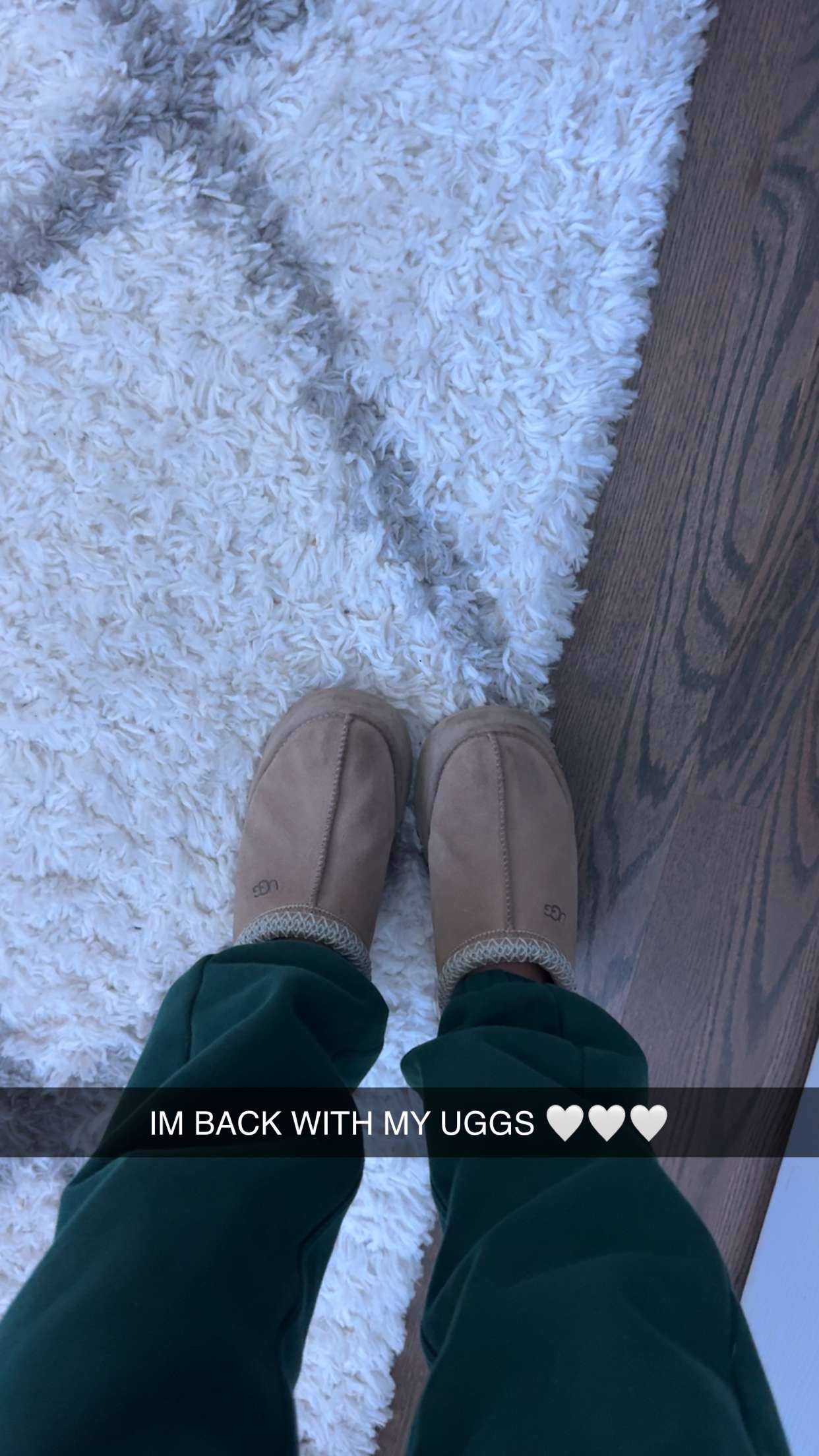 carmmieecat snapchat image archive image