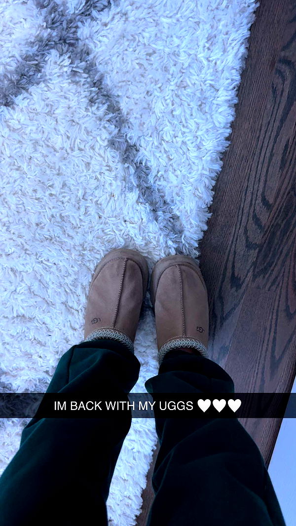 carmmieecat image ~ Altpins