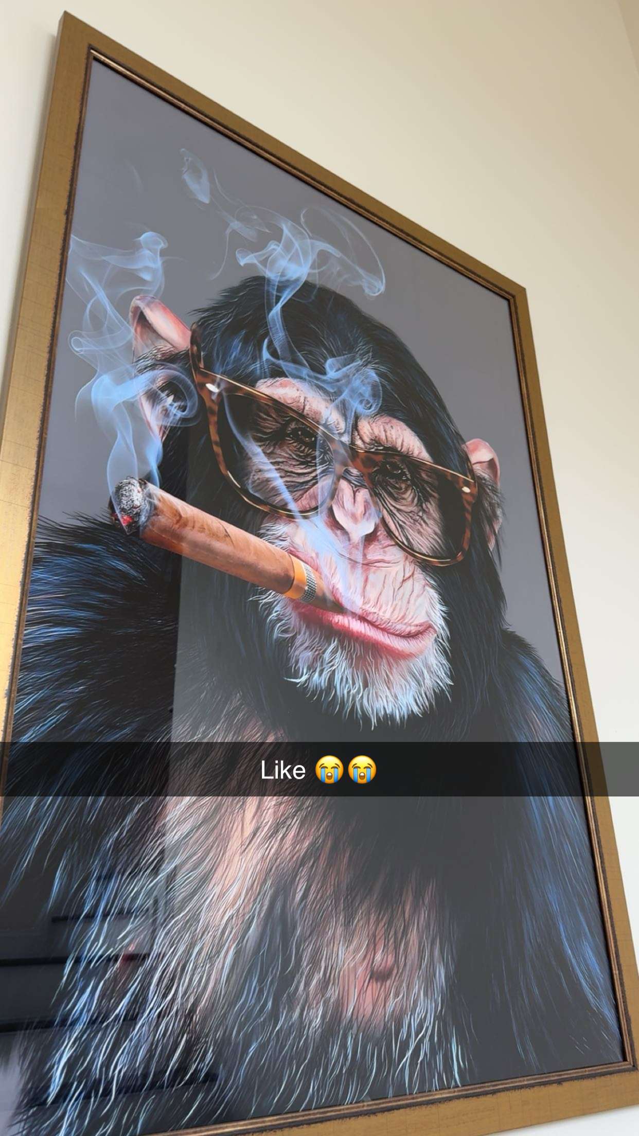 carmmieecat snapchat image archive image