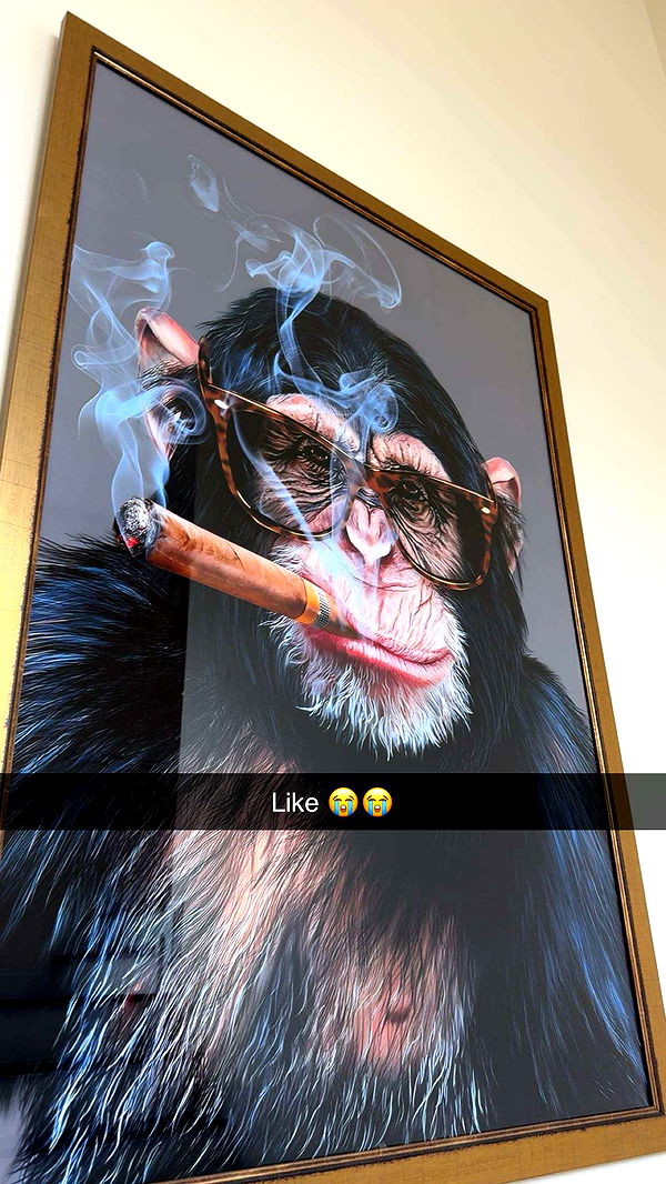 carmmieecat image ~ Altpins