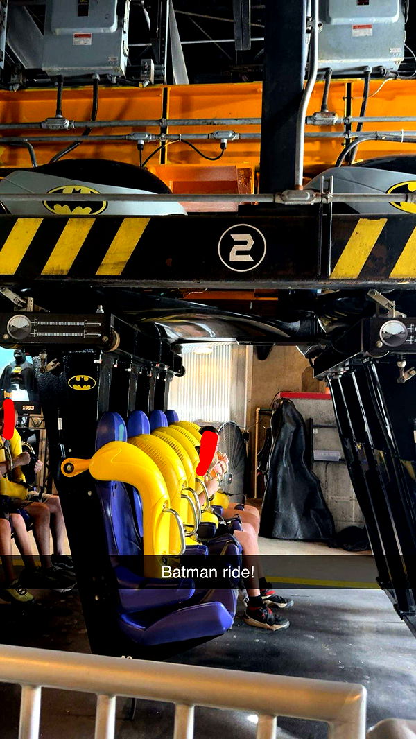 carmmieecat image ~ Altpins