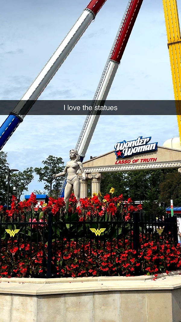 carmmieecat image ~ Altpins