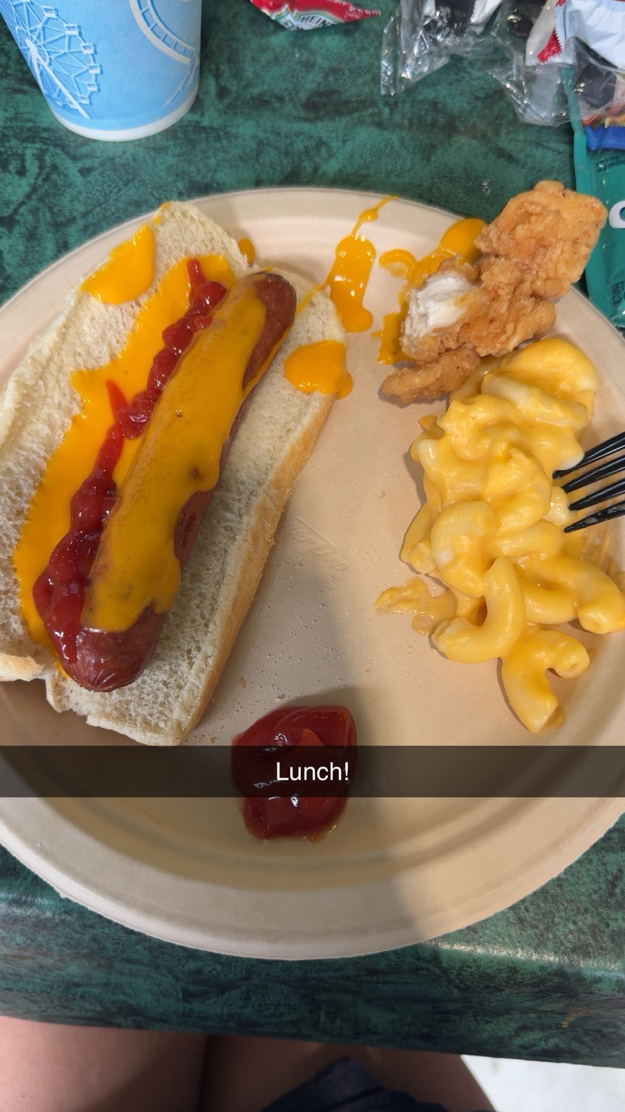 carmmieecat snapchat image archive image