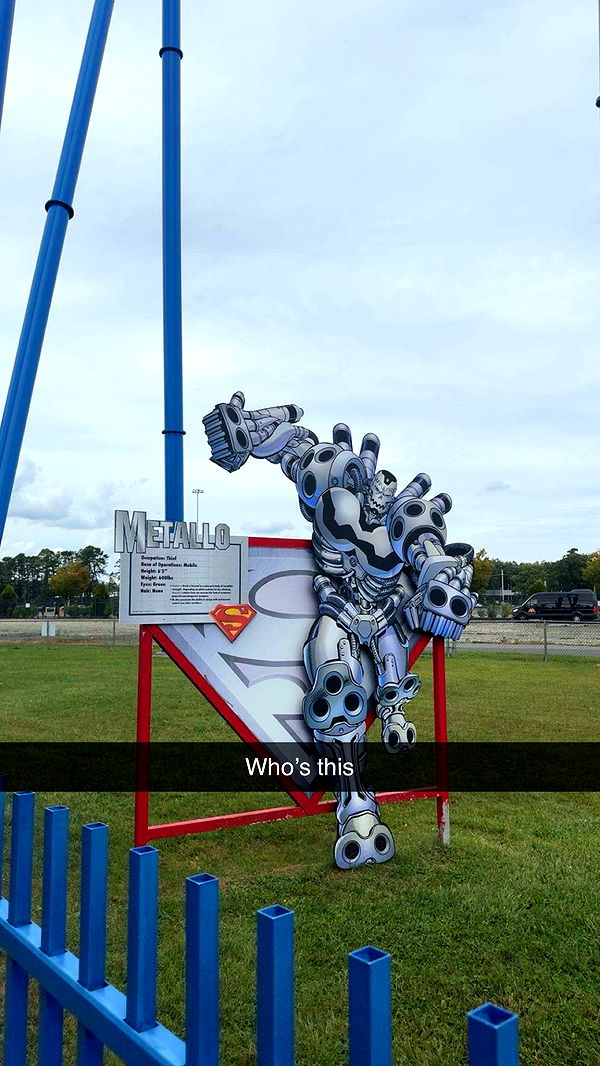 carmmieecat image ~ Altpins