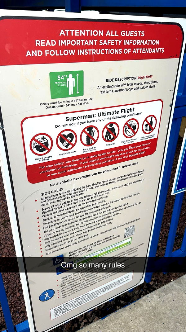 carmmieecat image ~ Altpins