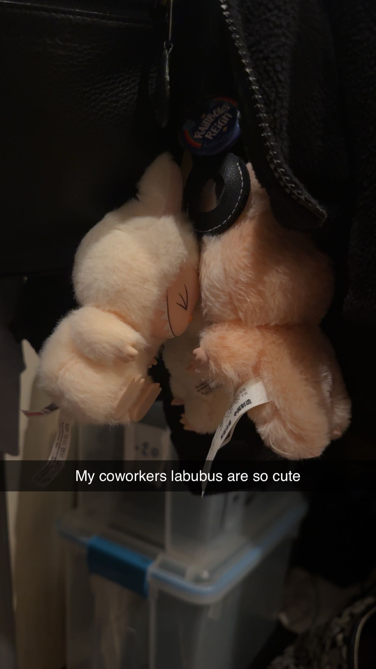 carmmieecat snapchat image archive image