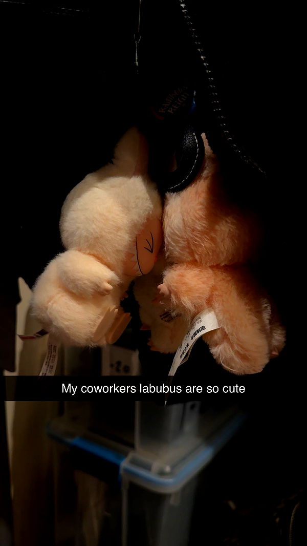 carmmieecat image ~ Altpins