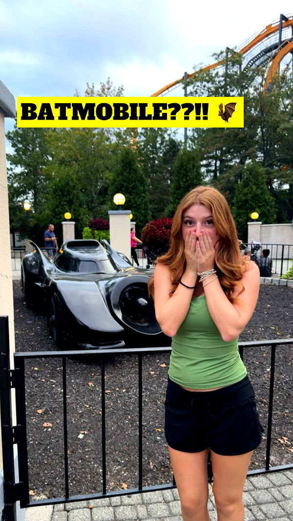 carmmieecat image ~ Altpins