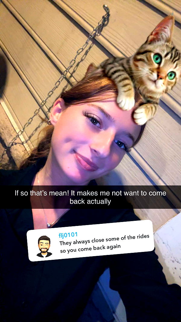 carmmieecat image ~ Altpins